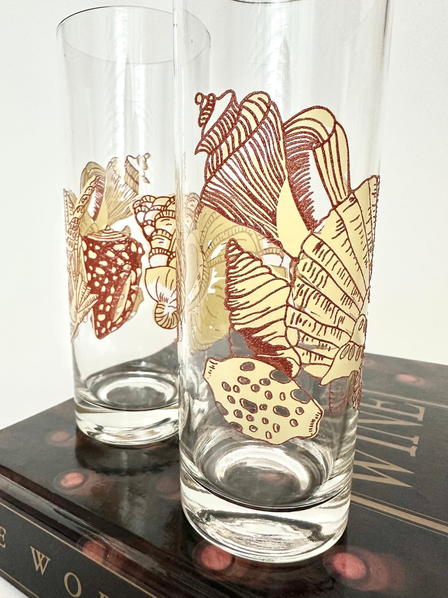 Darya Highball Glasses