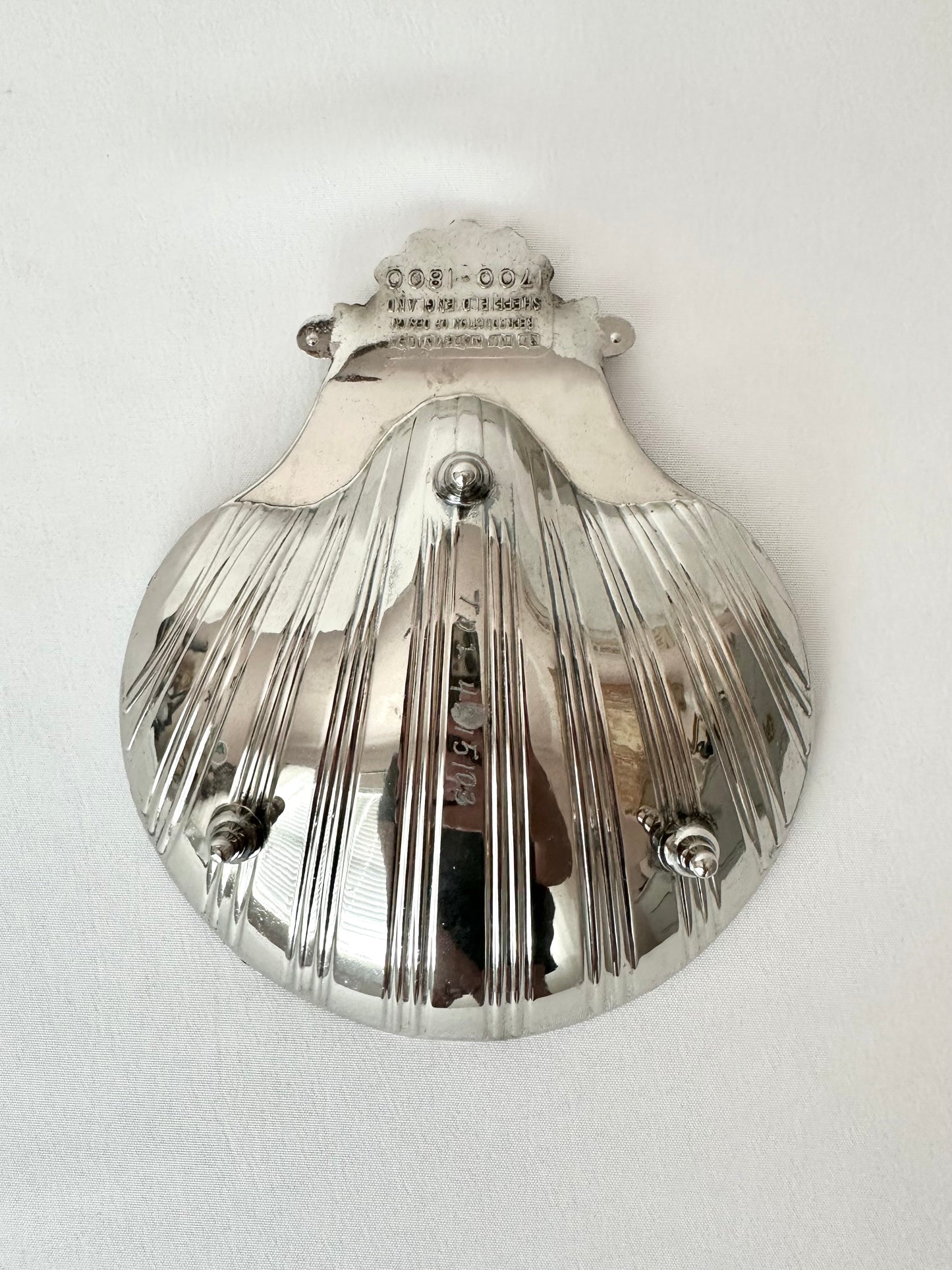 Signature Shell 02