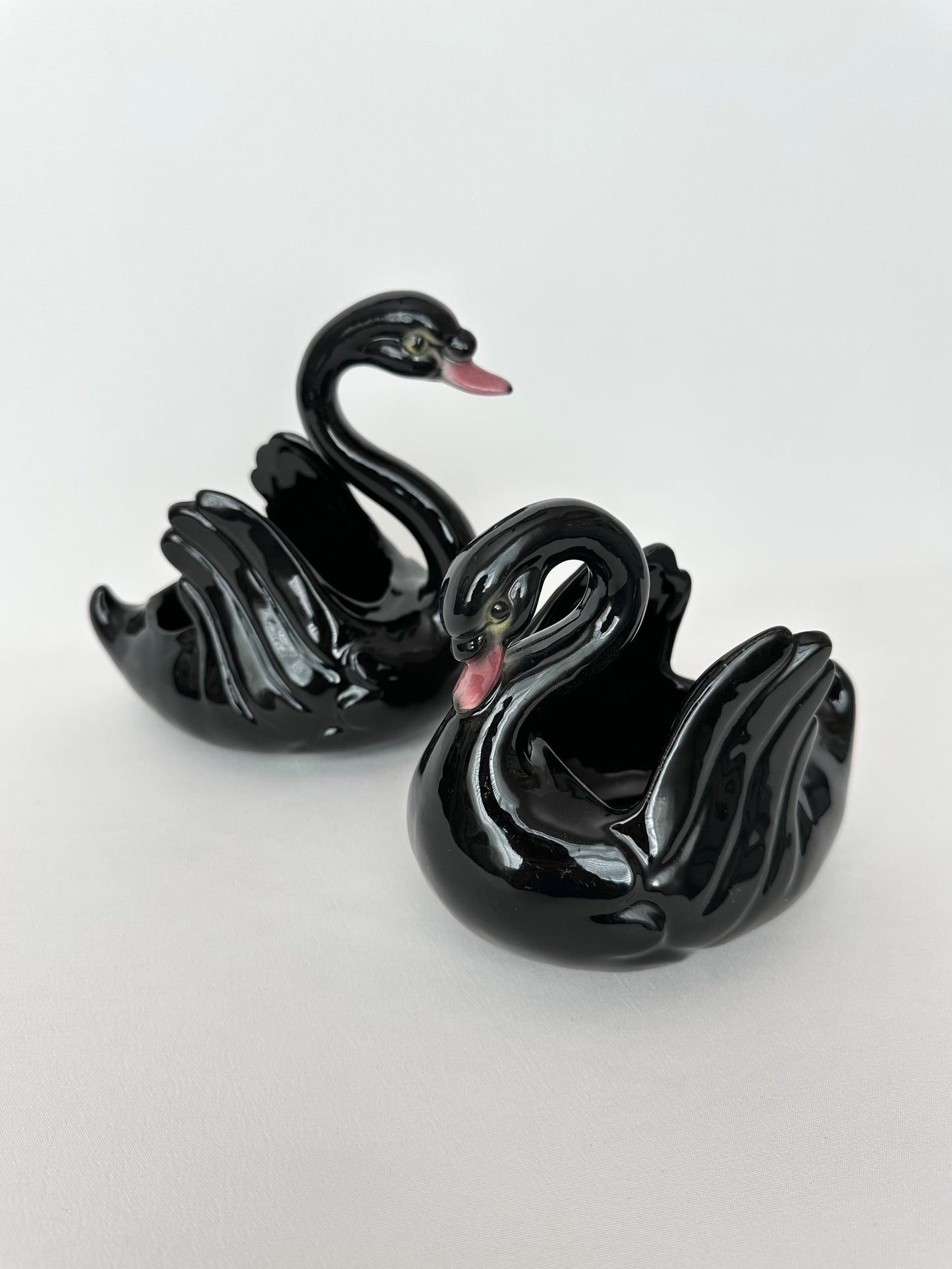 Raven Swan Pair