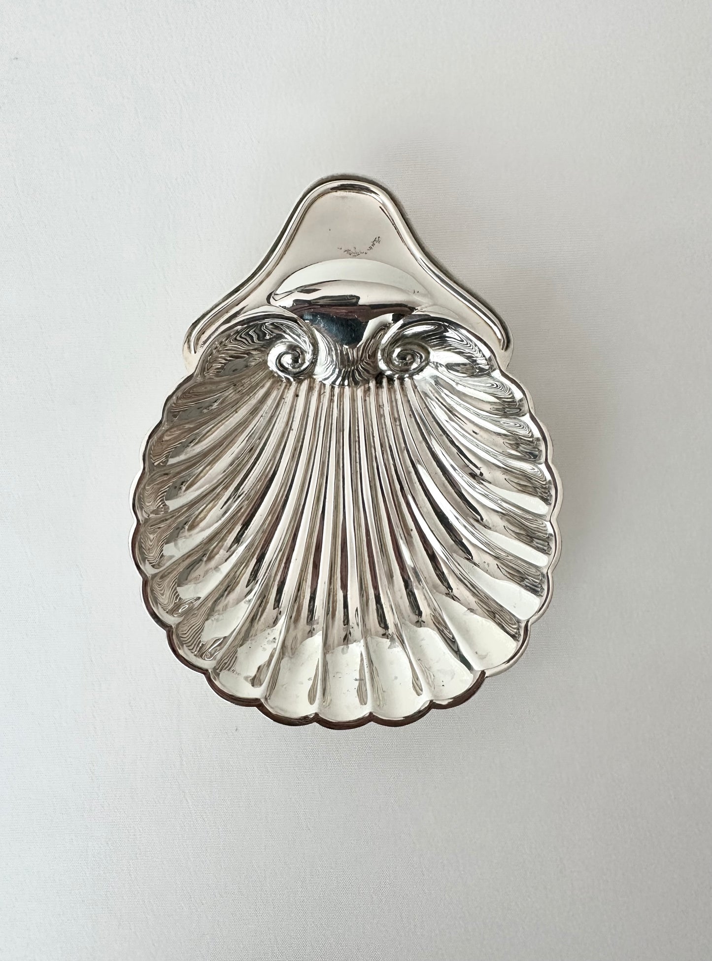 Signature Shell 03