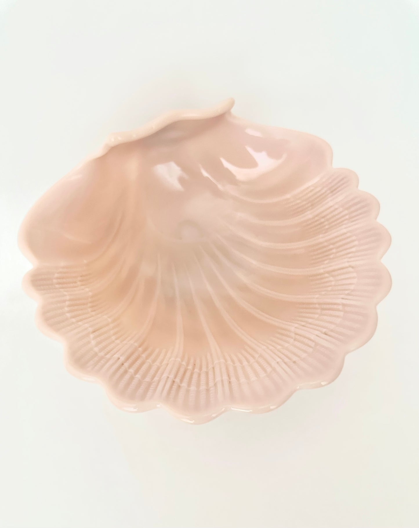 Coralia Shell Bowl