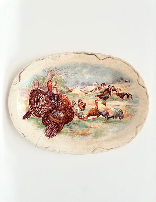 Quincy Turkey Ironstone Platter