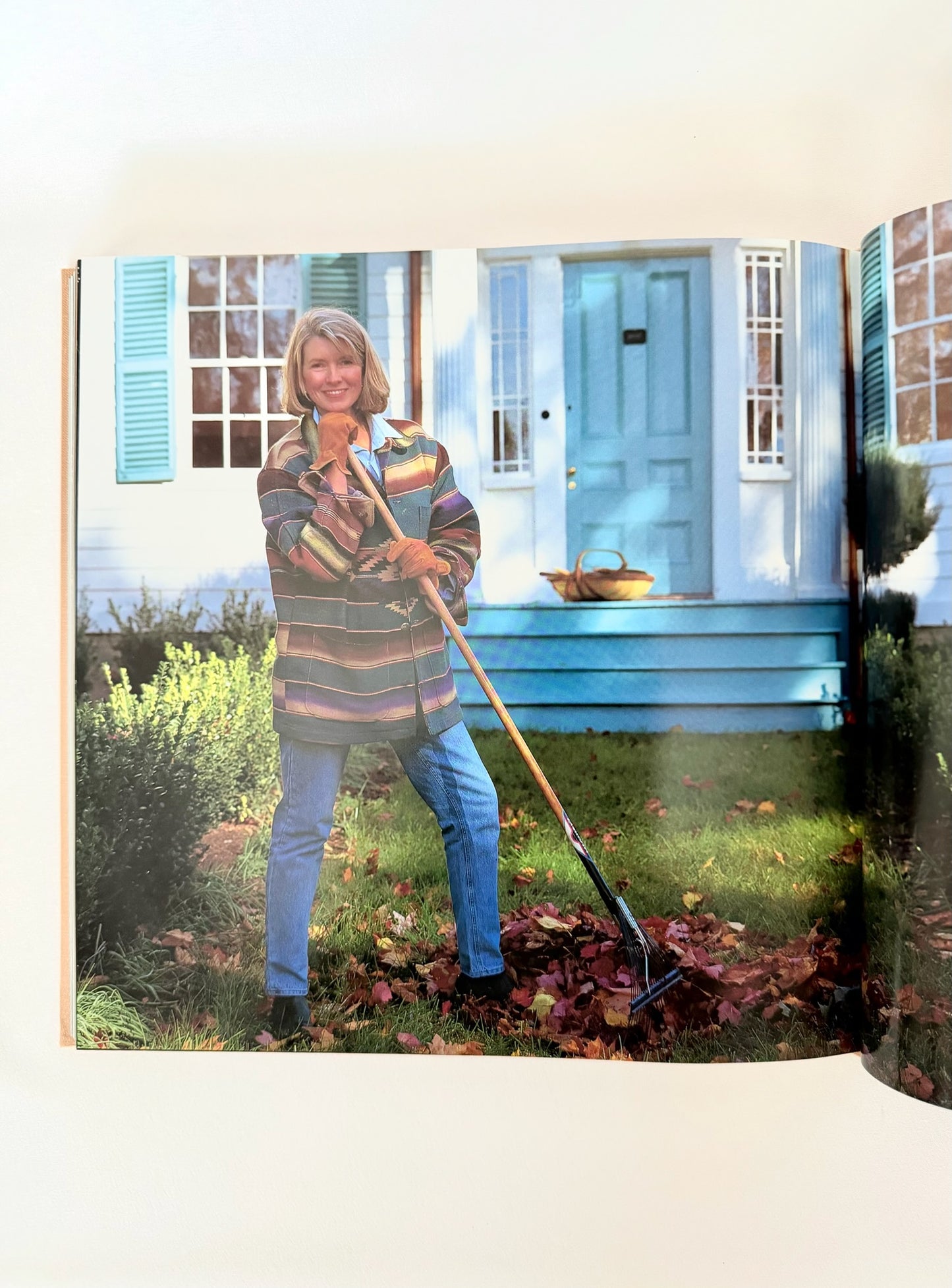 Martha Stewart’s New Old House Book
