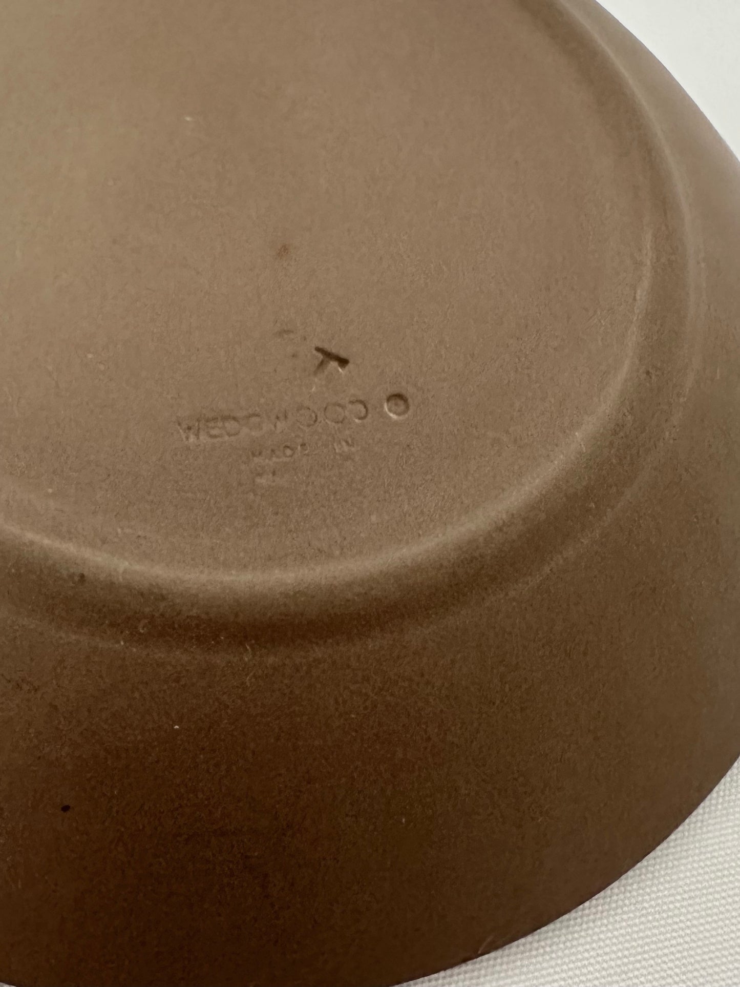 Paola Shell Trinket Dish