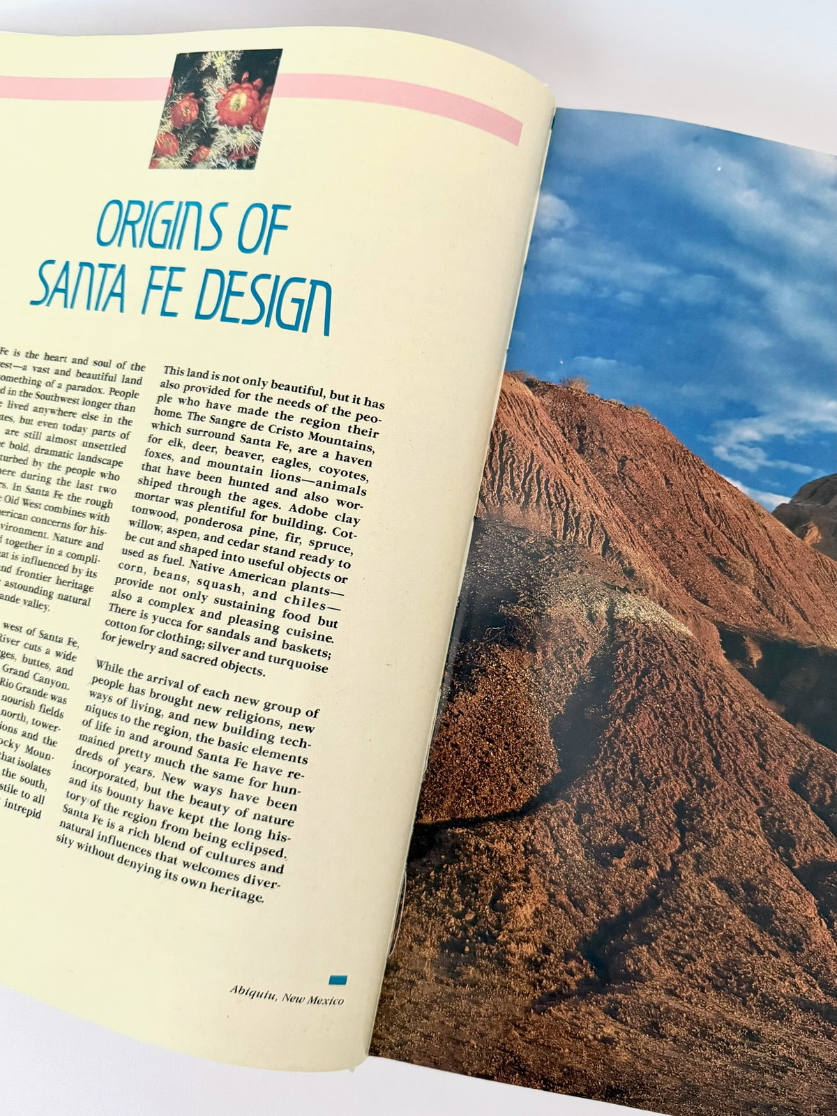 Santa Fe Design Book