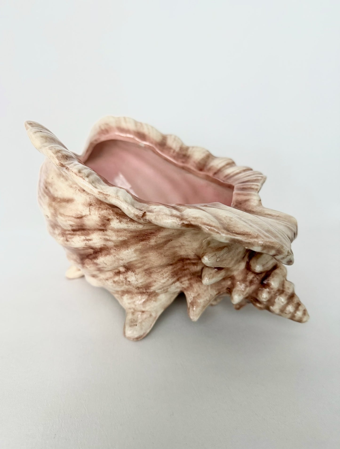 Bahama Conch Planter