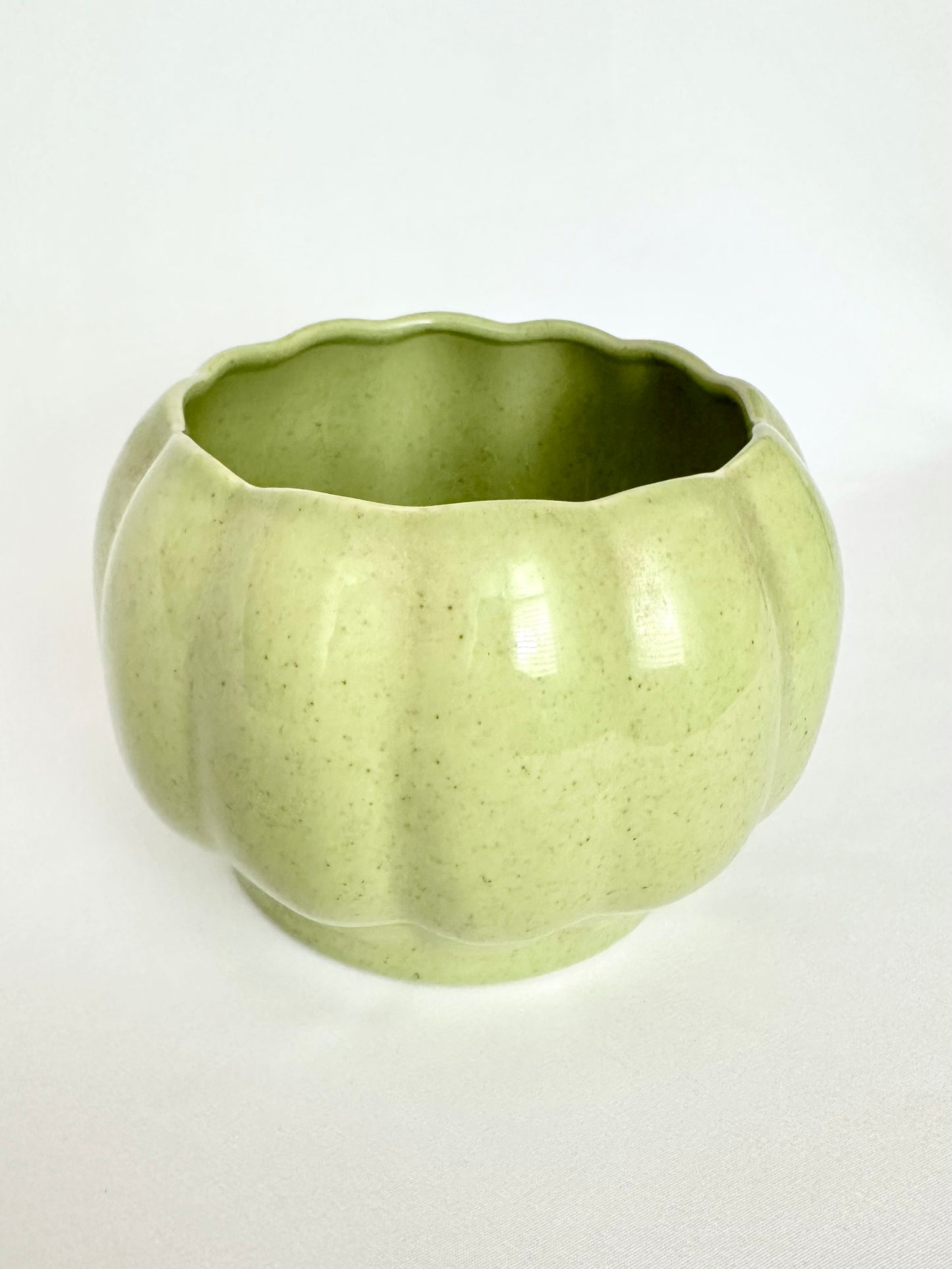 Fern Ceramic Planter