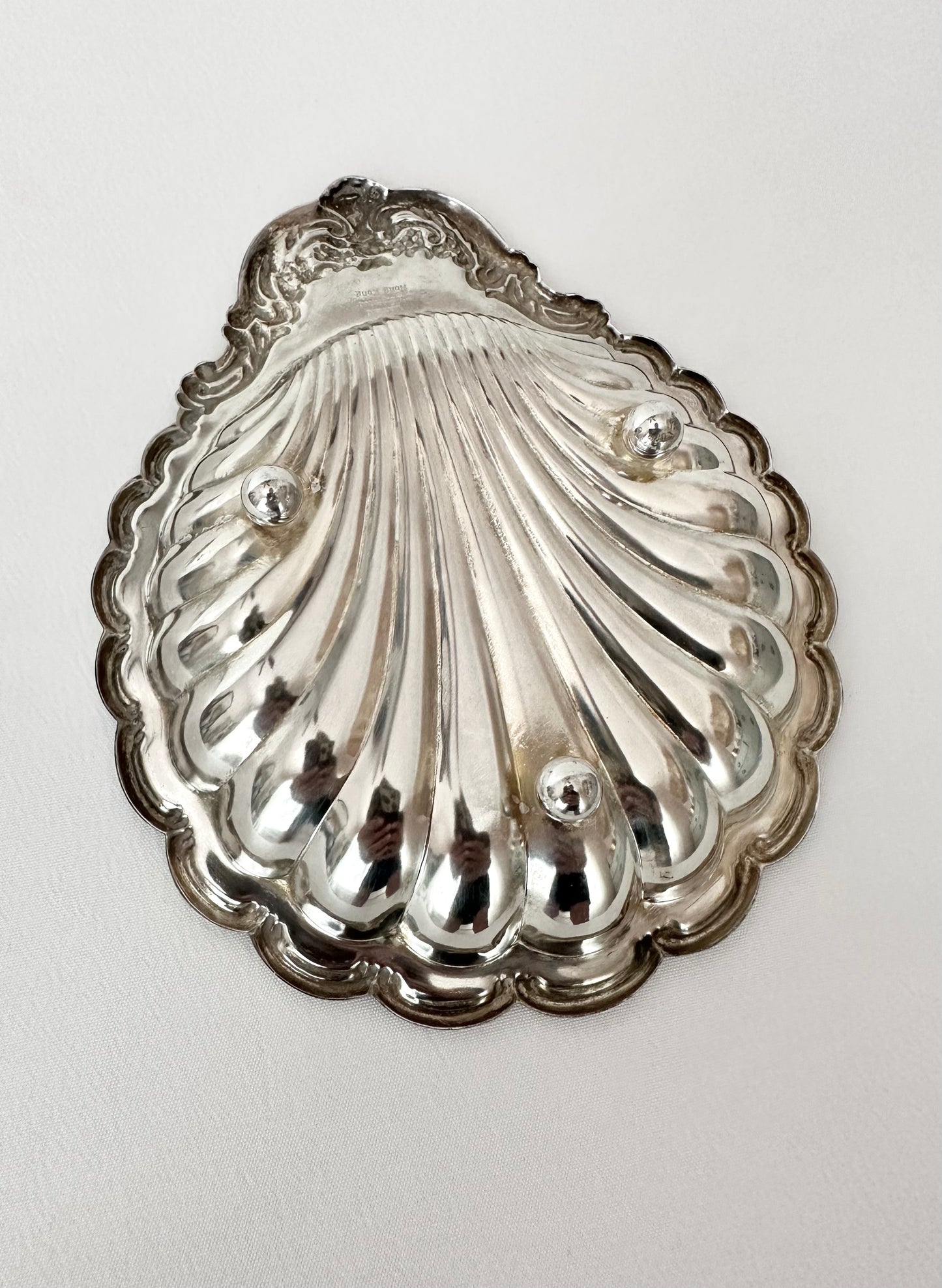 Signature Shell 05