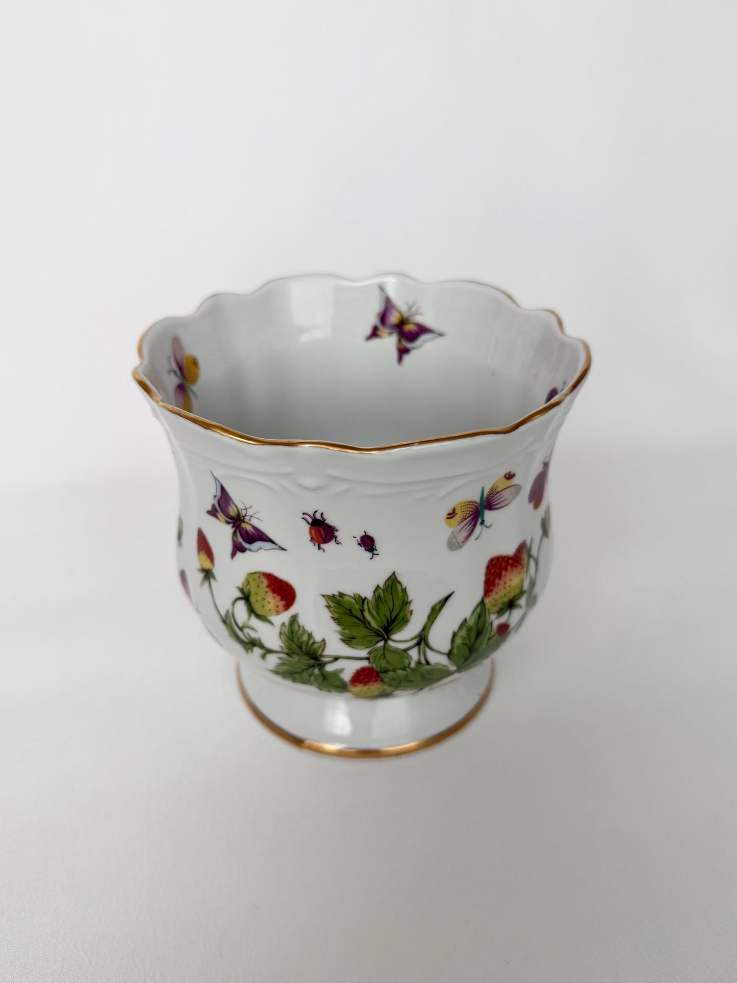 Beri Cache Pot