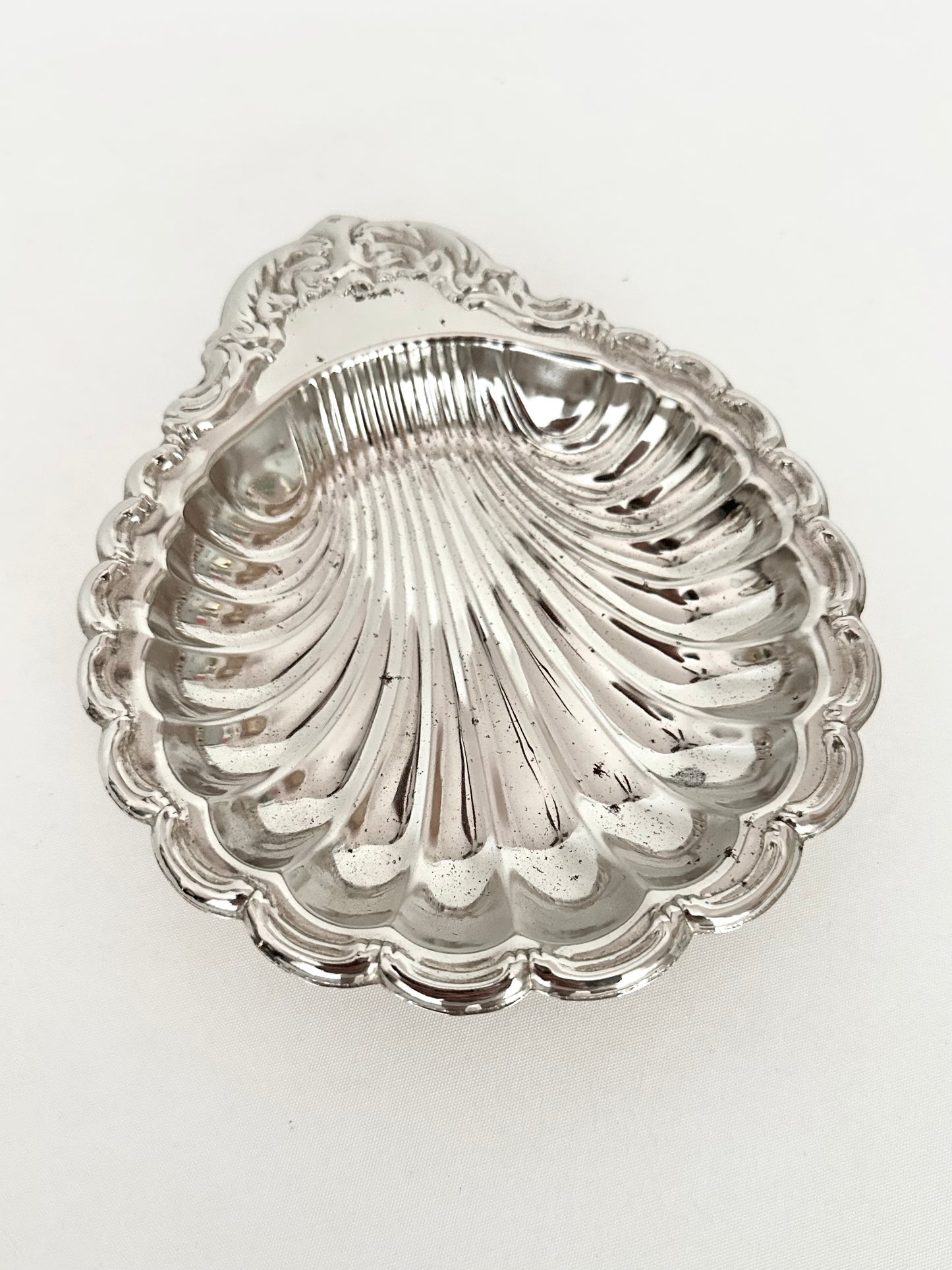 Signature Shell 04